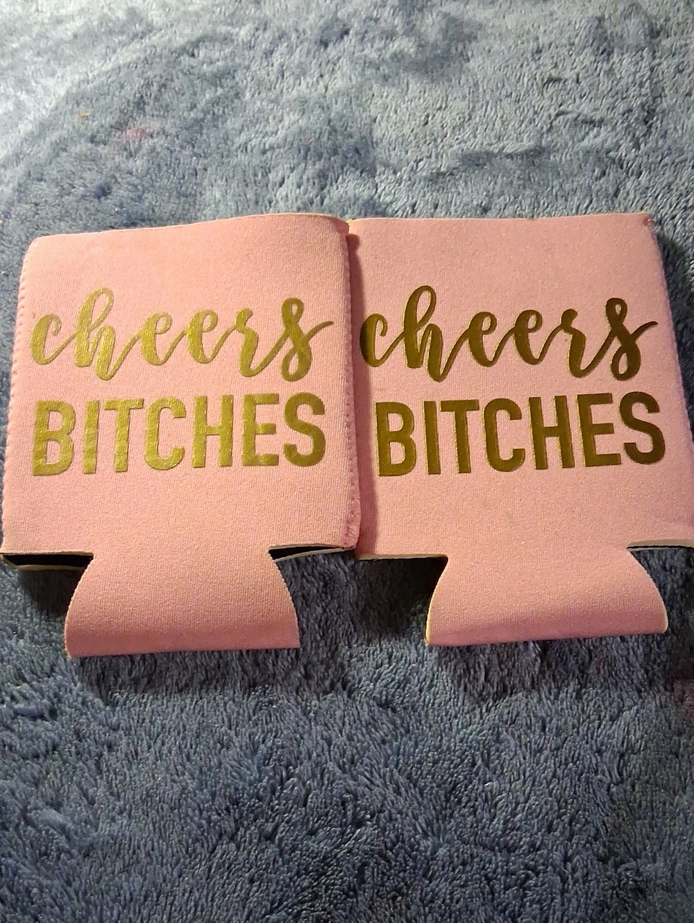 Cheers Bitches Pink Can Cooler - Party Drink Koozie (Set of 2)